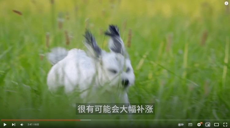 小道消息:这枚硬币即将飙升！我加仓了！比特币的巨大好处来了！现在怎么操作？不要误判！看看聪明的钱是怎