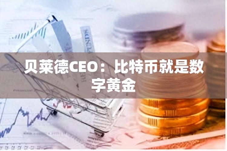 贝莱德CEO：数字黄金是比特币