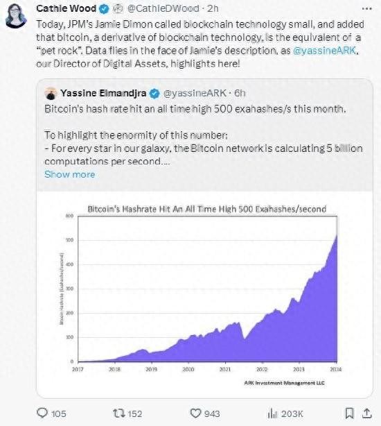 小摩CEO再一次炮轰比特币，“木头姐姐”反击：数据在打他的脸，马斯克惊叹不已