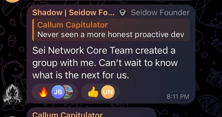 近期 Sei 生态中掀起了关于 Seidow Token 的风波，Shadow 被曝涉嫌骗局。