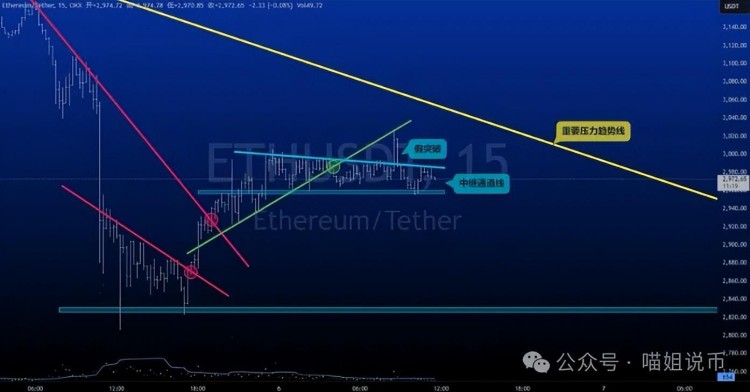 比特币（BTC）重拾势头至 56,000 美元，山寨币呈上升趋势！