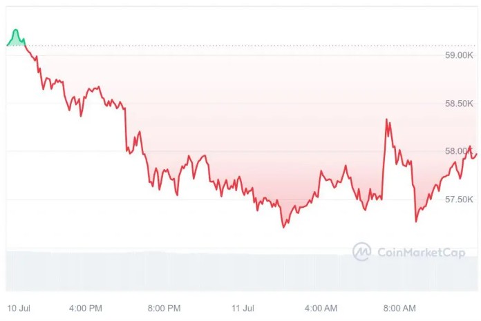 “比特币是个骗局” Peter Schiff 再次抨击 BTC